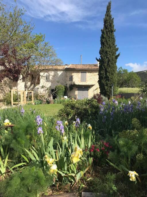 Les Tarraiettes Au Pied Du Luberon Villa Lourmarin Eksteriør bilde