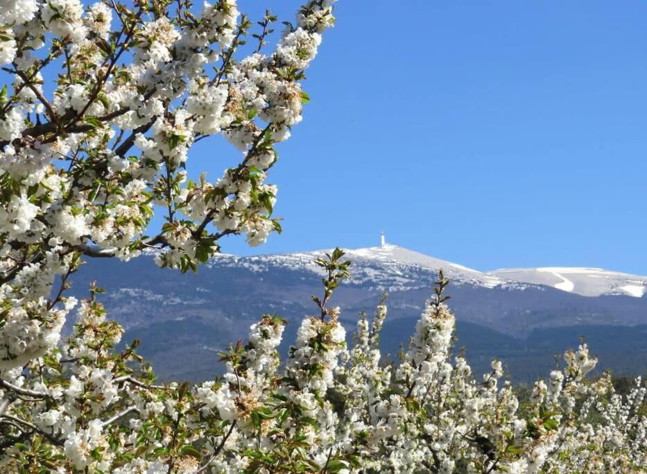 Les Tarraiettes Au Pied Du Luberon Villa Lourmarin Eksteriør bilde
